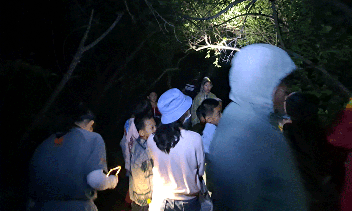 夜晚出來(lái)觀察萬(wàn)物
