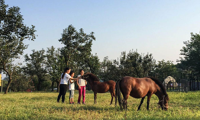 我和小馬有個約定