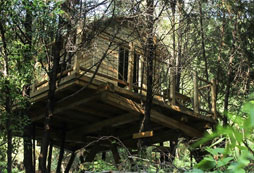 樹屋3