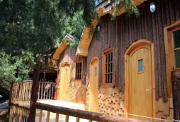 獨(dú)特的樹(shù)屋