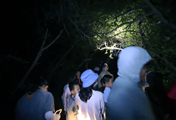 夜晚出來觀察萬物