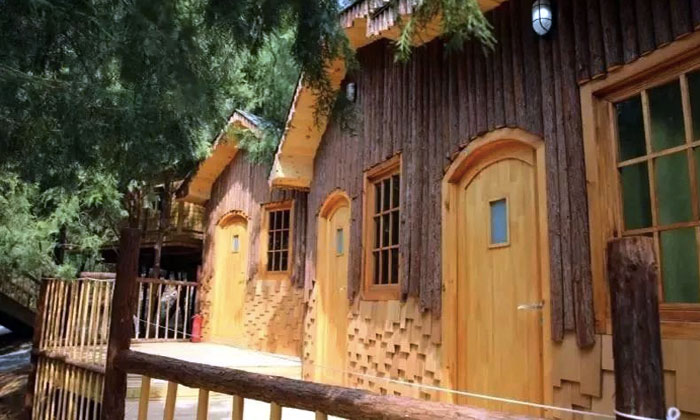 獨(dú)特的樹屋