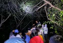 夜晚探險