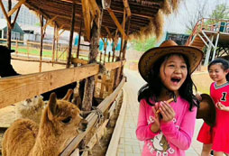 與動(dòng)物零距離接觸的欣喜