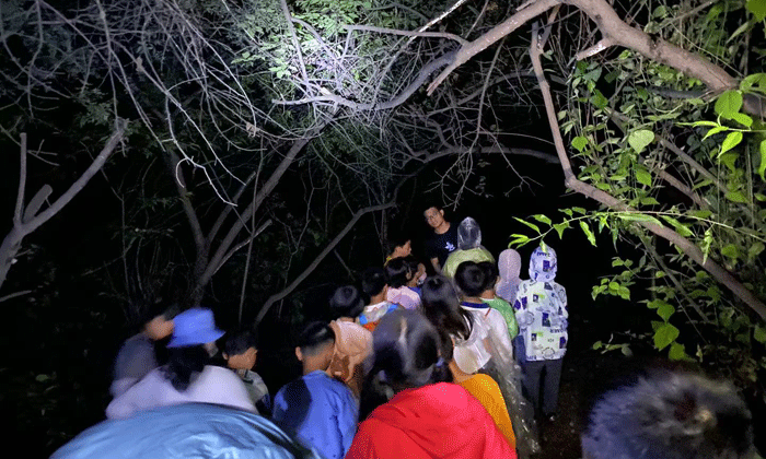 夜晚探險