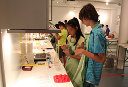 到美國名校游學(xué)學(xué)習(xí)ESL基礎(chǔ)課程