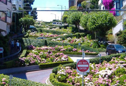 <font color='綠色'>與新東方游學(xué)一起登上最彎曲的街道——九曲花街</font>