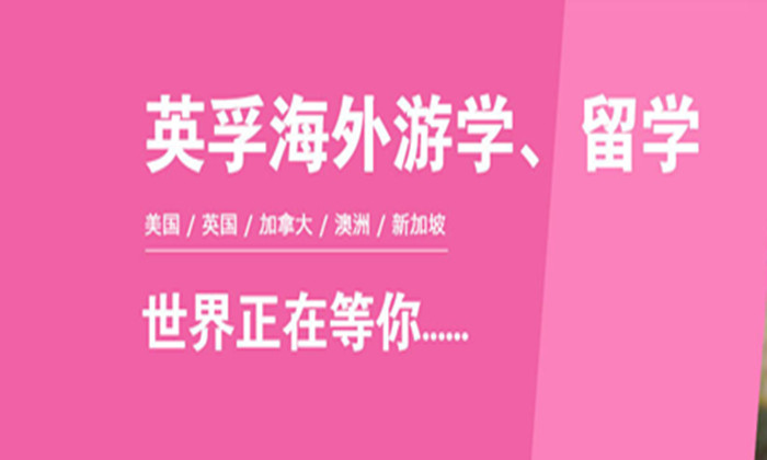 美國個人游學(xué)夏令營