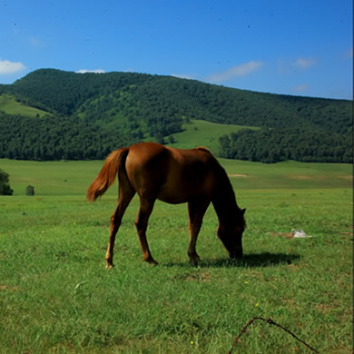 今夏勵(lì)志成長營助孩子樹立遠(yuǎn)大的志向
