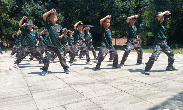 寶雞小學(xué)生軍事夏令營.gif
