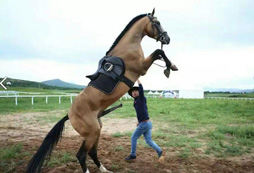 北京草原營壩上草原特色