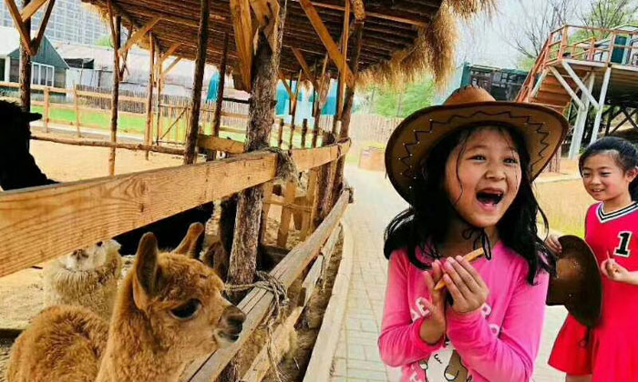 北京夏令營(yíng)收費(fèi)