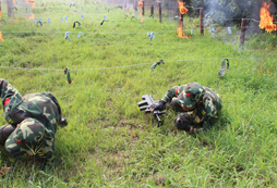 參加北京軍事夏令營有哪些活動