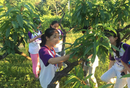 青青部落戶(hù)外拓展夏令營(yíng)能讓孩子達(dá)到怎樣的效果