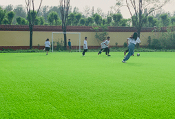 這種學(xué)生要參加北京學(xué)能夏令營！