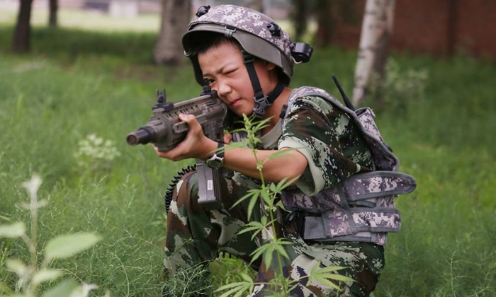 北京軍事夏令營