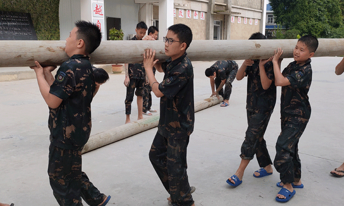 齊心協(xié)力撼大樹(shù)