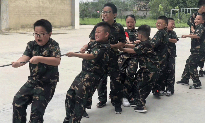 力拔山兮氣蓋世