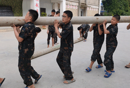 齊心協(xié)力撼大樹