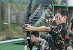 我是鷹眼神箭手