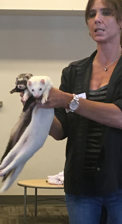 體驗UBC的校園和宿舍生活