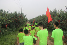 體驗(yàn)果園