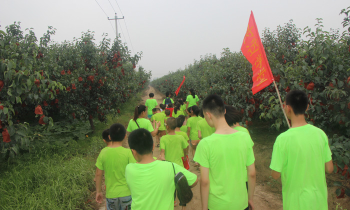 體驗果園