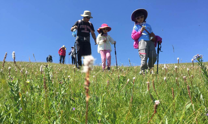 草原夏令營有哪些