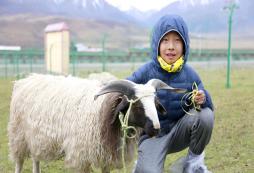 青少年參加草原夏令營有哪些改變？