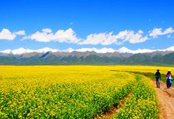 青少年參加草原夏令營的意義