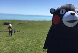 草原夏令營有哪些獨(dú)特優(yōu)勢(shì)？