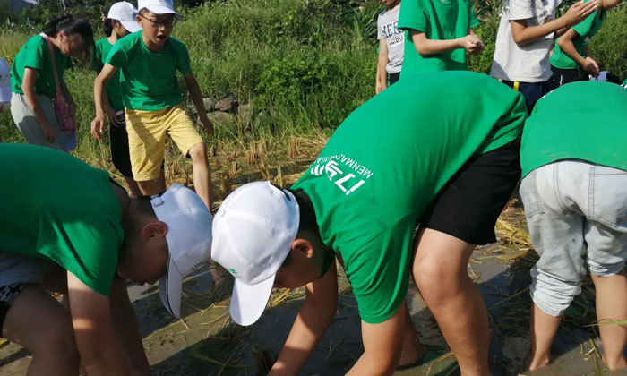 常德中學生夏令營有哪些