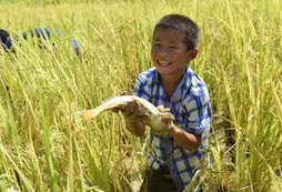 留守兒童夏令營讓青少年知恩、感恩！