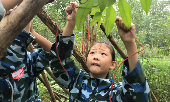 成都夏令營(yíng)費(fèi)用