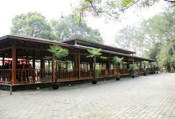 成都雙流毛家灣森林公園拓展訓練基地