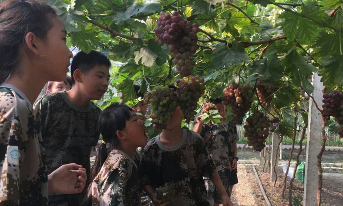 成都軍事夏令營(yíng)的好處是什么.jpg