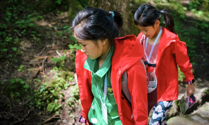 成都夏令營(yíng)去哪里