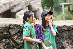 國內(nèi)成都夏令營口碑怎么樣