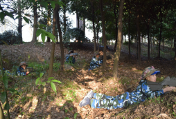 成都地區(qū)哪里有夏令營(yíng)？