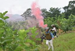 2024年成都有哪些夏令營(yíng)