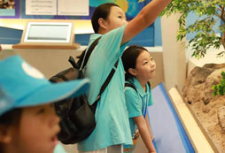 郴州小學(xué)生夏令營(yíng)助力孩子成長(zhǎng)發(fā)展