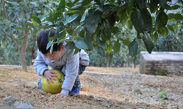 吃苦夏令營(yíng)在哪里
