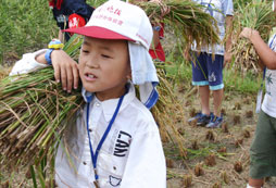 農(nóng)村生活體驗(yàn)夏令營給孩子一個(gè)愉快假期