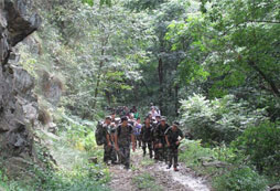 參加吃苦夏令營(yíng)來(lái)一場(chǎng)收獲心靈的成長(zhǎng)之旅