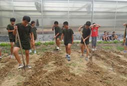 報(bào)名吃苦夏令營(yíng)，訓(xùn)練過(guò)程有危險(xiǎn)嗎？