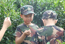 參加吃苦夏令營(yíng)課程特色有哪些？