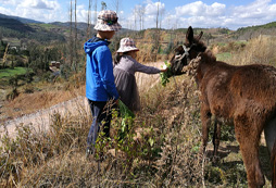 報(bào)名參加哪家吃苦夏令營(yíng)最好？