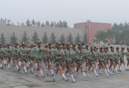 為何選擇吃苦夏令營(yíng)？