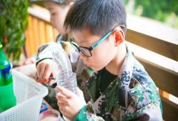 吹臺山夏令營塑造孩子堅毅剛強(qiáng)的品質(zhì)