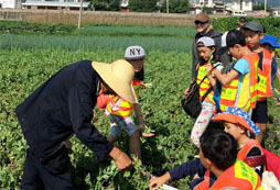 為什么大理研學(xué)夏令營如此受歡迎